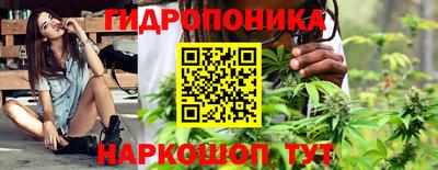 стаф Анжеро-Судженск